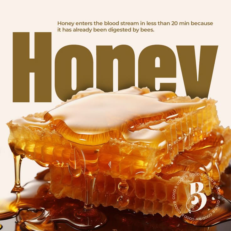 Pure Forest Raw Honey – 1Kg